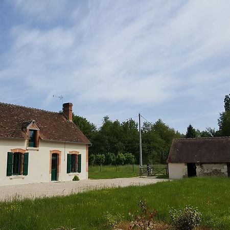 Les Brosses Villa Mur-de-Sologne Exteriör bild